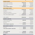 Fundraising Report Template