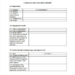 Information Security Report Template