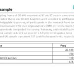 Information Security Report Template