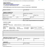 Insurance Incident Report Template