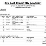 Job Cost Report Template Excel