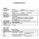 Job Progress Report Template