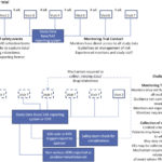 Monitoring Report Template Clinical Trials