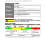 Monthly Progress Report Template