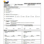 Non Conformance Report Template