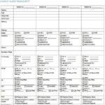 Nursing Assistant Report Sheet Templates