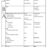 Nursing Assistant Report Sheet Templates