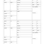 Nursing Assistant Report Sheet Templates