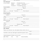 Presentence Investigation Report Template