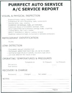 Presentence Investigation Report Template (1) - TEMPLATES EXAMPLE ...