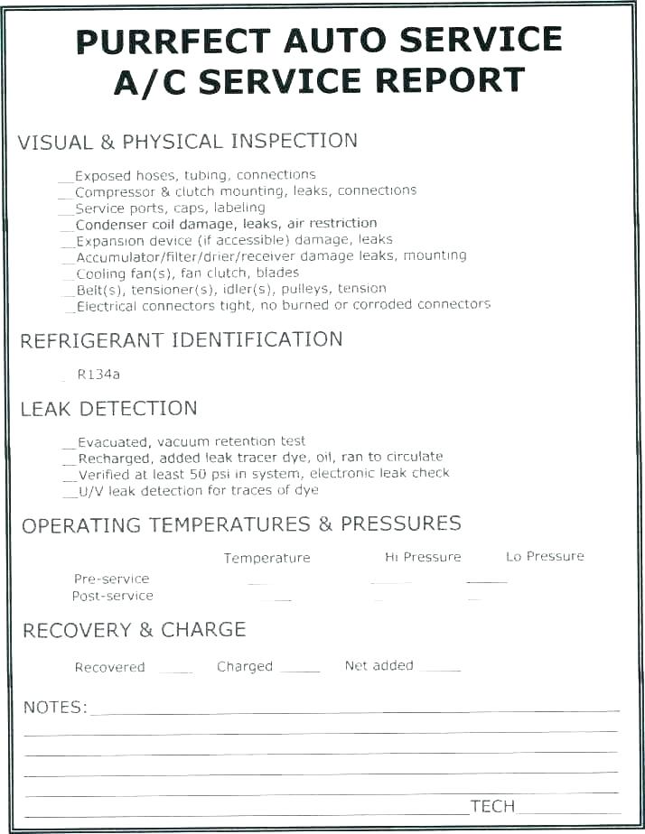 Presentence Investigation Report Template