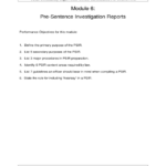 Presentence Investigation Report Template