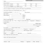 Presentence Investigation Report Template