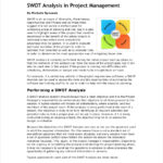 Project Analysis Report Template