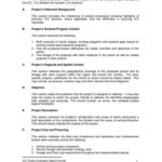 Project Implementation Report Template