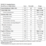 Psychoeducational Report Template