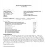 Psychoeducational Report Template