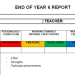 Pupil Report Template