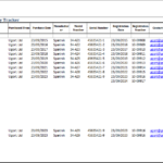 Rma Report Template