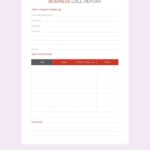 Sales Call Report Template Free