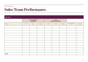 Image 6 for Sales Team Report Template