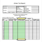 Sales Visit Report Template Downloads