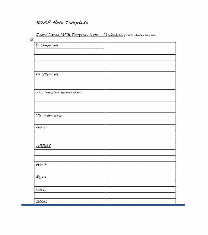 Soap Report Template