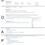 Soap Report Template