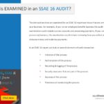 Ssae 16 Report Template