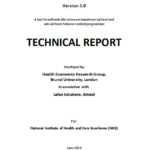 Template For Technical Report