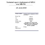 Template For Technical Report