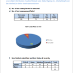 Test Case Execution Report Template