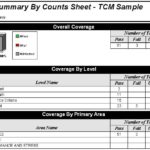 Test Case Execution Report Template