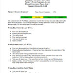 Weekly Test Report Template