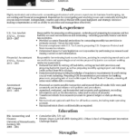 Cv Templates Accountants