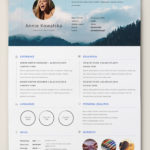 Cv Templates Adobe