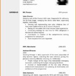 Cv Templates And Examples