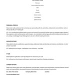 Cv Templates And Examples