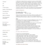 Cv Templates Developer