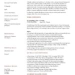 Cv Templates Developer