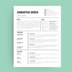 Cv Templates Editable