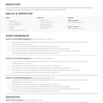 Cv Templates Editable