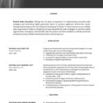 Cv Templates Examples