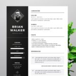 Cv Templates Gratuit