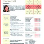 Cv Templates Hloom