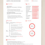 Resume Templates Adobe