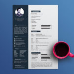 Resume Templates Adobe Illustrator