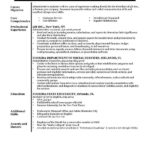 Resume Templates And Examples