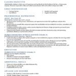 Resume Templates And Examples