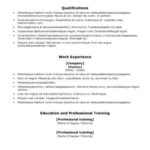 Resume Templates Ats